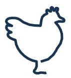 Pictogramme pour la catégorie 'poule'