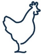 Pictogramme pour la catégorie 'poulet'