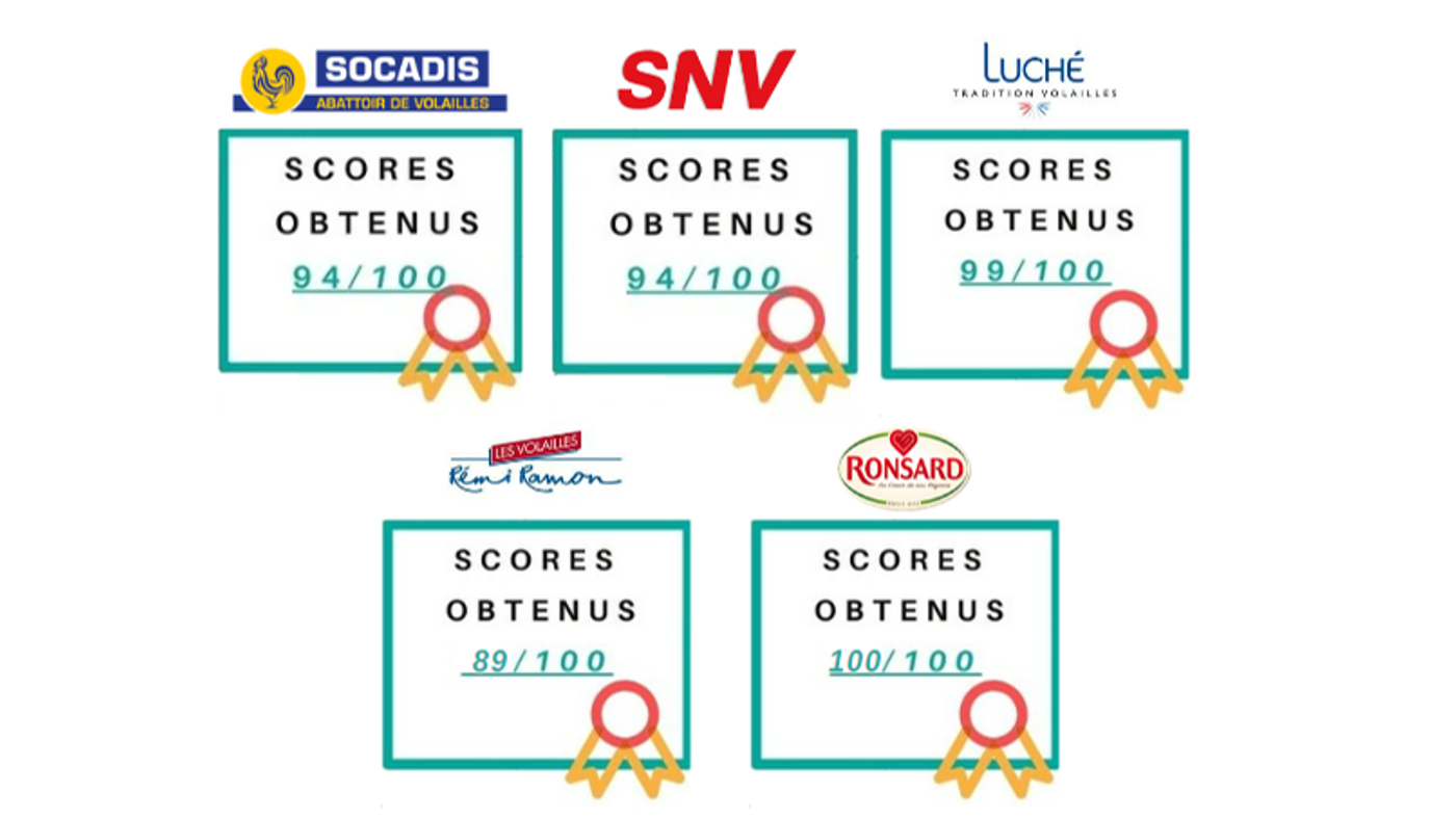 Index égalité pro au sein de nos sociétés